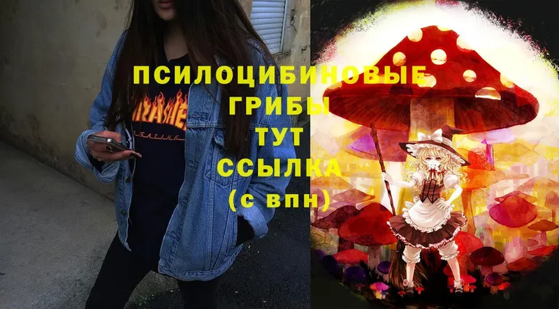 Псилоцибиновые грибы Magic Shrooms  Ставрополь 